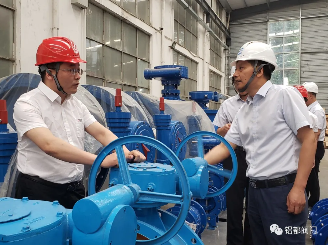 铝都阀门 | 岱海生态应急补水工程项目技术联络会