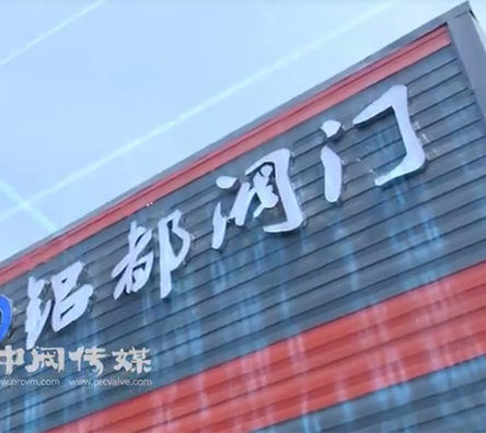 三分钟“精彩视频”了解双向金属硬密封蝶阀