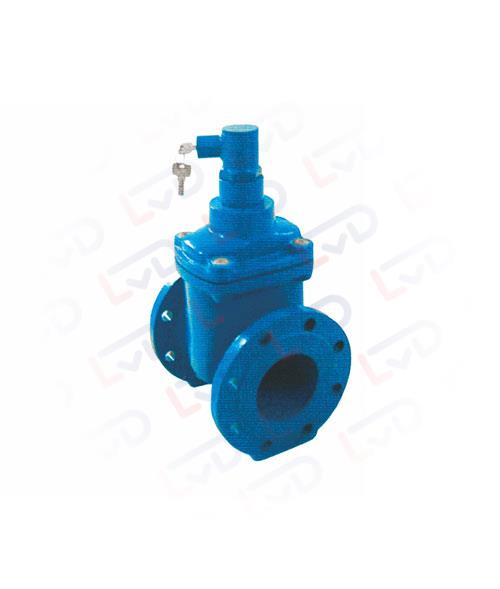 Soft sealing gate valve with lock