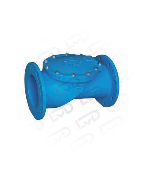 Swing non-return valve