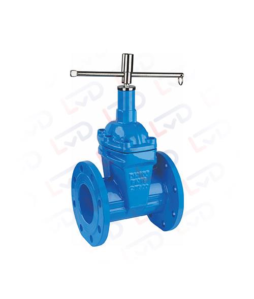 Locking gate valve