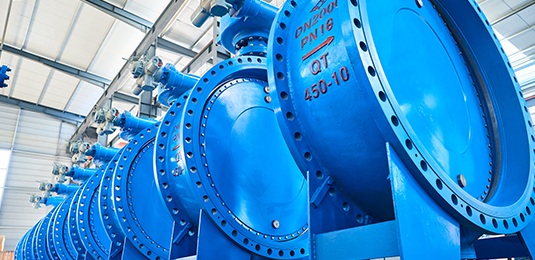 Butterfly Valve