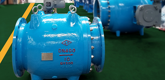 Check Valve