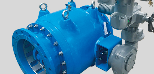 Functional Valve